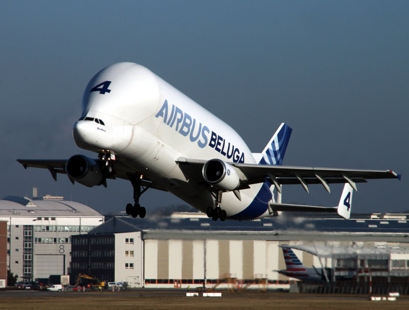 Beluga 3-4 xfw CD2.jpg