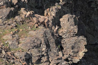 The Little Bighorn