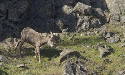 2013 _EZ71785 copy.jpg
