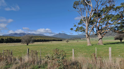 Tasmania 2013