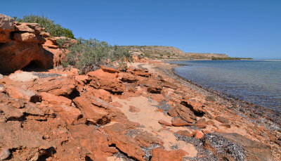 Shark Bay coastal scenery