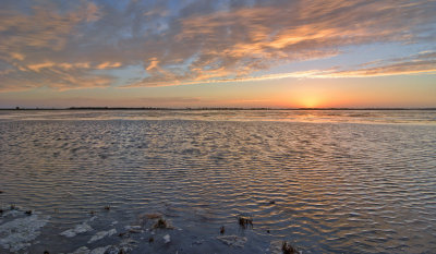 Creery Wetlands