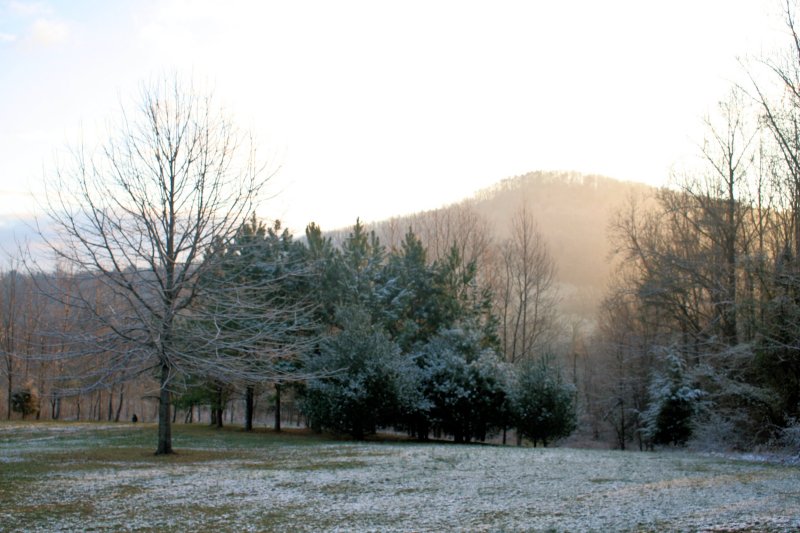 Dusting Of Snow This Morning (3/4/16)-2