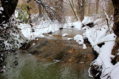 A walk to  the Creek near the house