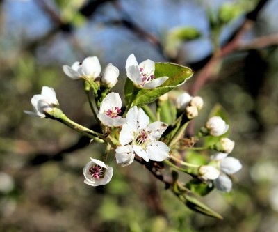 Signs of Spring