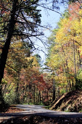 Fall Colors At Stone Mountain State Park(10/22/15) 