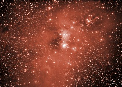 NGC 2264 The Chistmas Tree Cluster and The Cone Nebula.