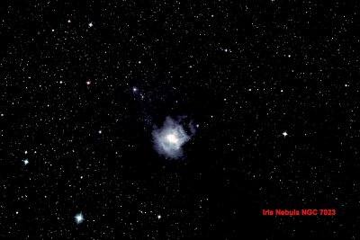 Iris Nebula NGC 7023-10/29/16. 2132s iso1600