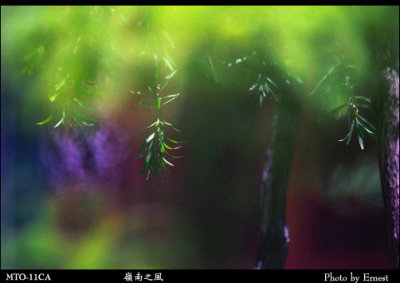 Lingnan_Park_030714_006_s_e.jpg
