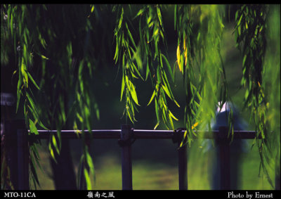 Lingnan_Park_030714_018_s.jpg