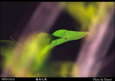 Lingnan_Park_030714_028_s.jpg