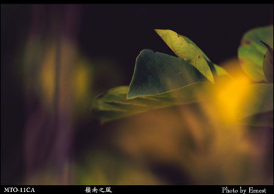 Lingnan_Park_030714_029_s.jpg