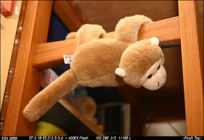 Plush Toy