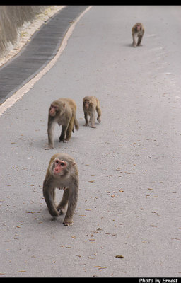 CRW_6765_s.jpg