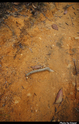 CRW_6887_s.jpg