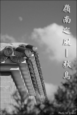 Intro