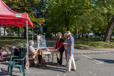 Participation a la journée sans voiture