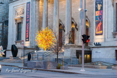 SortieMusee2014_004.jpg