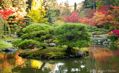 Japanese Gardens