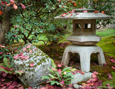 Japanese Gardens