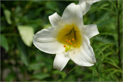 090807c.jpg