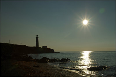 20150815a.jpg