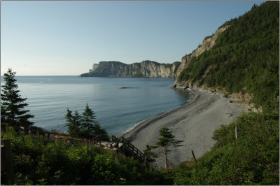 20150815e.jpg