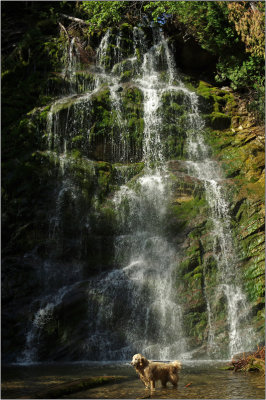 20150815f.jpg