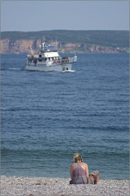 20150816c.jpg
