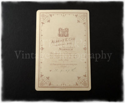 0260 Vintage Photo Cabinet Card.jpg