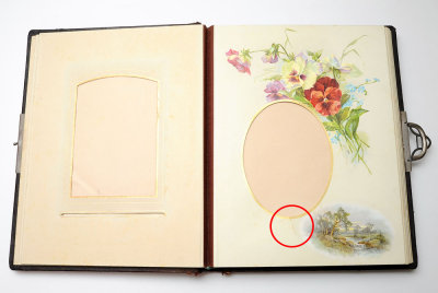 04 Victorian Floral Photo Album CDV Cabinet Card.jpg