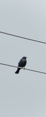 g9/21/102121/3/157526804.efvChJZR.jpg