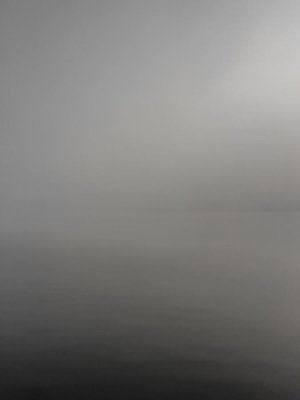 g9/21/102121/3/160451594.DE4aLouE.jpg