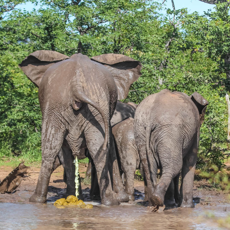 20110211Zuid afrika-6.jpg