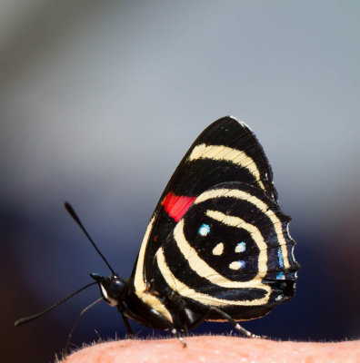 20121025Brazilie-91.jpg