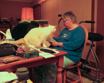 jo_and_cats