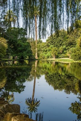 giardino inglese lago dei cigni