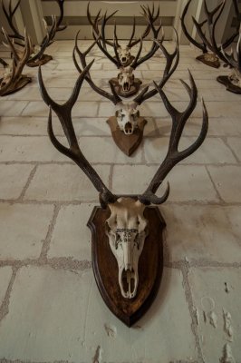 chambord4.jpg