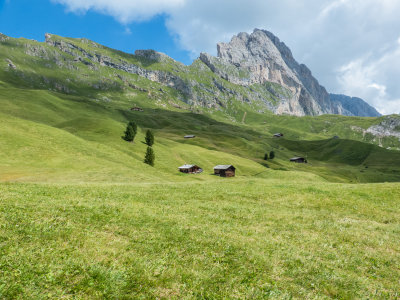 dolomiti col-12.jpg