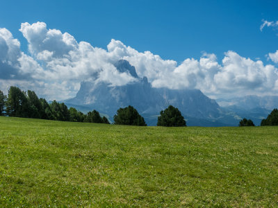 dolomiti col-7.jpg