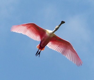 P1100614