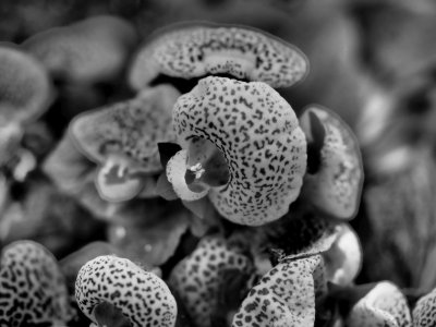 P2150740