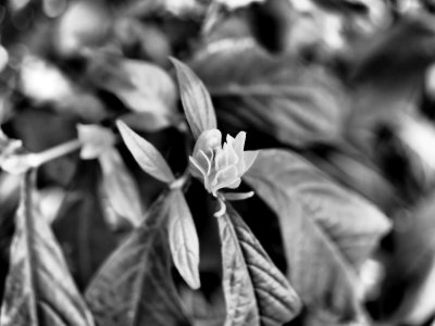 P2150767