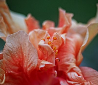 P6142470