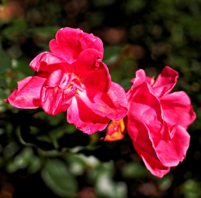 _B140158c