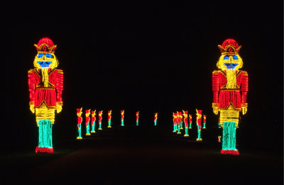 Fantasy of Lights