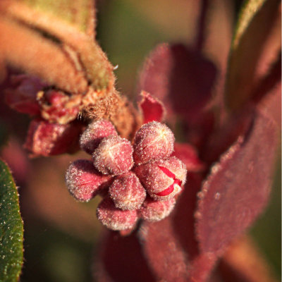 P3170917