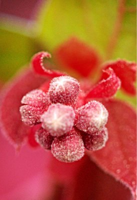 P3160902