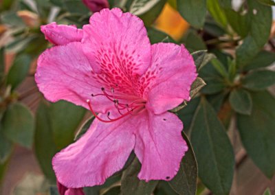 P3160911
