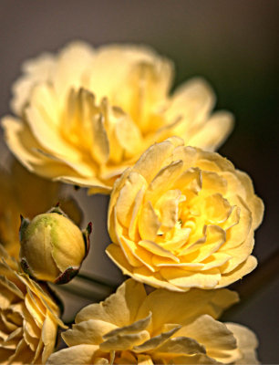 P3170958